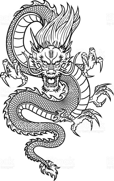 Learn how to draw a super cool chinese dragon face! Traditional Asian Dragon. This is vector illustration ...
