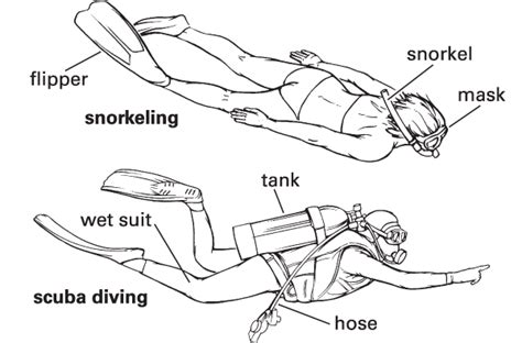 Scuba Definition And Meaning Britannica Dictionary