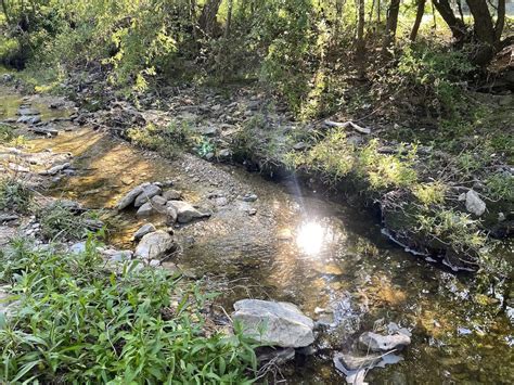 Riparian Restoration Shoal Creek Conservancy