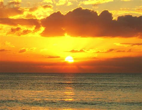 Golden Sunset Color Photograph By Carolyn Bistline