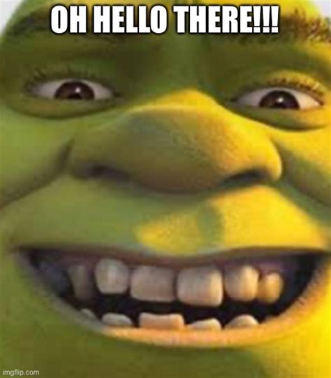 Just Shrek Imgflip