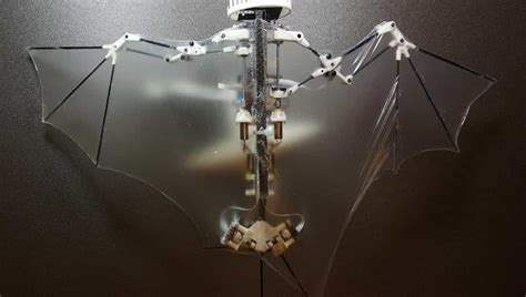 Bat Bot Le Robot Qui Vole Comme Une Chauve Souris