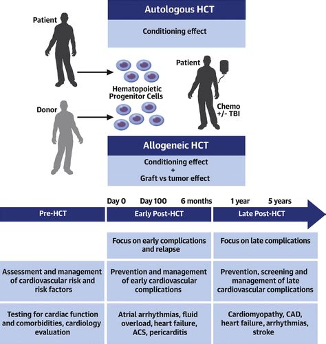 how to perform hematopoietic stem cell transplantation jacc cardiooncology