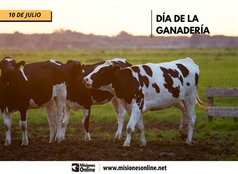 ¿sabes cuántos satélites giran alrededor de la tierra? ¿Por qué se celebra hoy en Argentina el Día de la ...