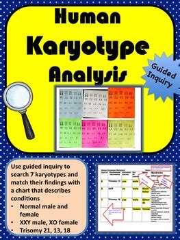 Two sisters on a mission to demystify science with humor and relevance! Amoeba Sisters Dihybrid Crosses Worksheet Answer Key | schematic and wiring diagram