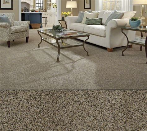Shaw Carpeting In Stainmaster Nylon Textured Construction In Style