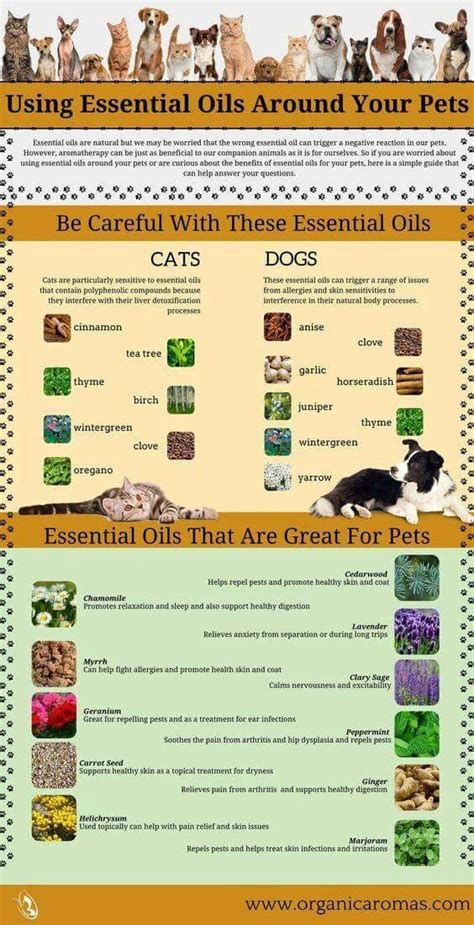 What is Aromatherapy: The Practical Guide To Essential ...
