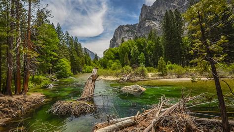 Maybe you would like to learn more about one of these? Kings Canyon National Park
