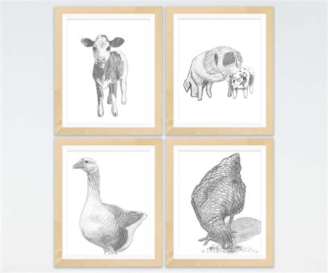 Farm Animal Art Sketch Set Of 4 Prints Modern Farmhouse Artwork Print