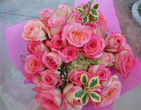 Visit our online store and shop for the best combo for yourself and your loved ones. Online Florist Delivery