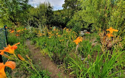 Eine gartennutzung ist im regelfall entweder direkt im mietvertrag beschrieben, sie wird in der hausordnung erwähnt oder aber. Nutzungsvertrag Garten / Zollgarten Genossenschaft ...