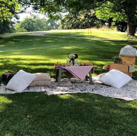 Plan A Perfect Summer Picnic In Wheeling Weelunk