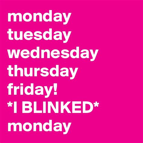 Monday Tuesday Wednesday Thursday Friday I Blinked Monday Post By
