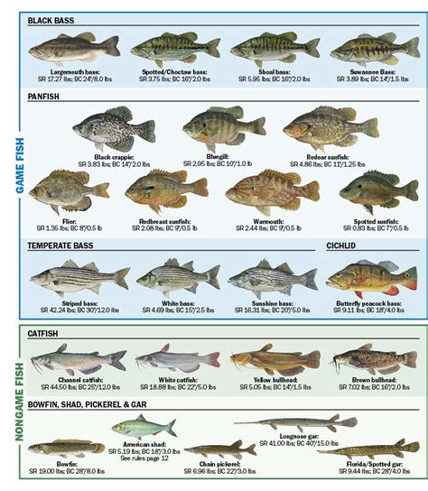 Tropical Freshwater Fish Species Guide