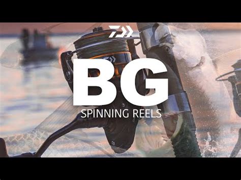 Daiwa BG Spinning Reels YouTube