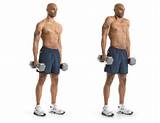 Pictures of Trapezius Muscle Exercise Without Weights