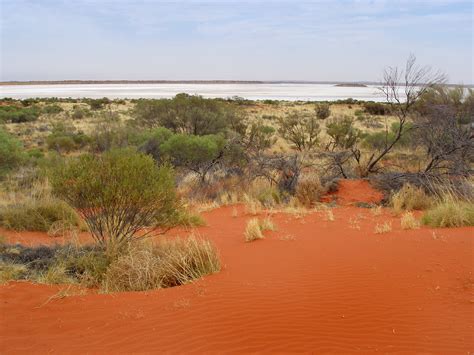 Photo Of Red Sand Dunes Free Australian Stock Images