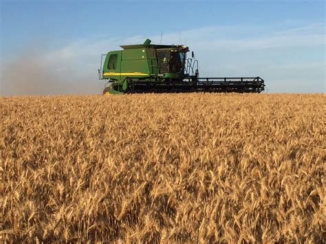 Australian Grain And Fibre Rise Up Usda Charts Grain Central