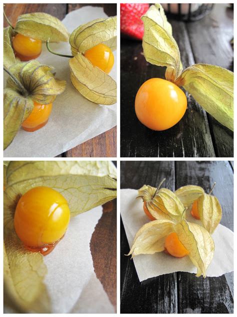 A round fruit with a purple or yellow skin which is native to brazil. Passion Fruit Crème Caramel | IronWhisk
