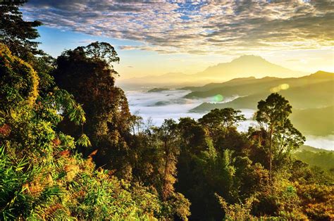 One Week In Borneo The Ultimate Itinerary