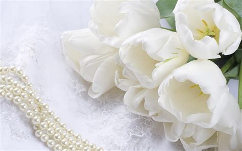 Deanne Morrison White Flower Background