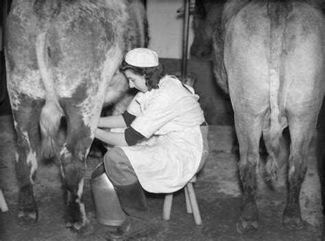 Dairy Farming Womens Land Uk