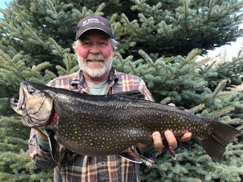 Giant Colorado Brook Trout Breaks 75 Year Old Record Outdoor Life