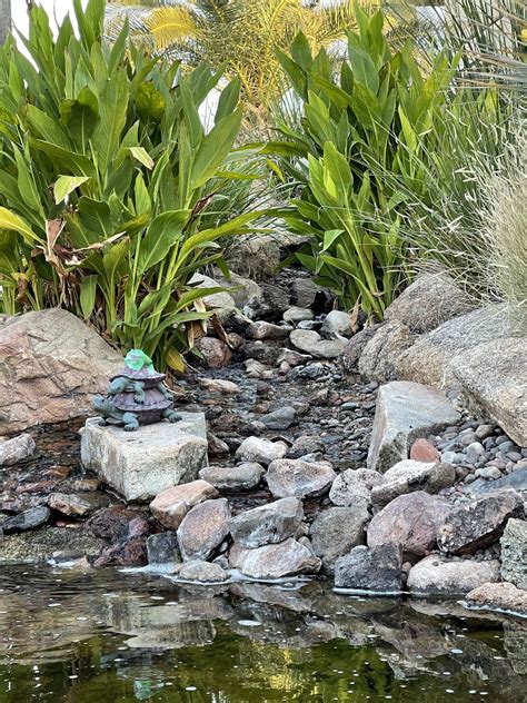 Tranquil Oasis Landscapes