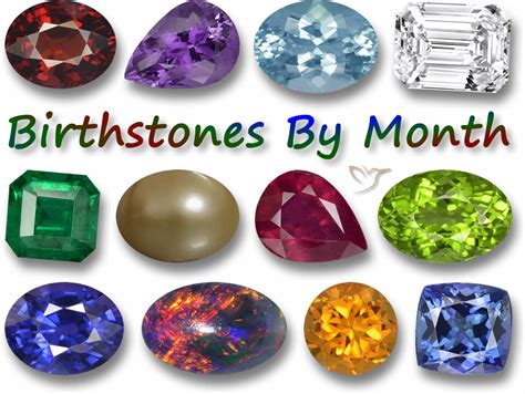 Alisha Wong Birthstones And Flowers For Every Month January