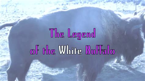 The Legend Of The White Buffalo Youtube