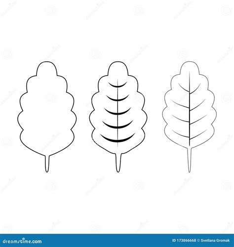 Set Of Leaves Isolated On A White Backgroundcontour Drawingleaves