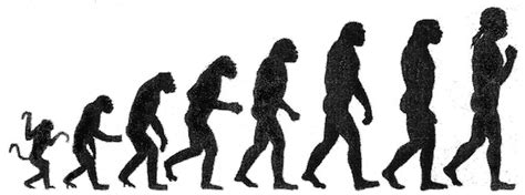 We did not find results for: How Darwin's Theory can Strengthen the Modern Spiritual ...