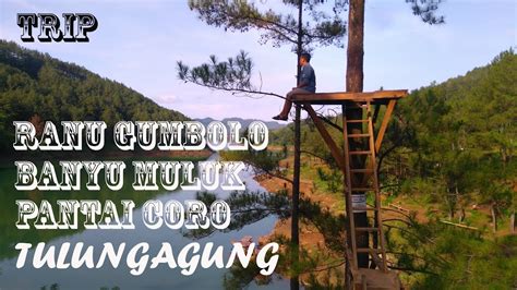 Berikut adalah daftar tempat pariwisata di indonesia berdasarkan provinsi.untuk informasi lebih lengkap mengenai pariwisata di indonesia. Wisata Ranu Gumbolo Tulungagung - Tempat Wisata Indonesia
