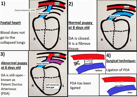 Though murmur is not currently on the portforward website, just use some other program in place of it (for instance read the instructions for opening the ports for call of duty) but only open the port you. 2010vets: 1449. TALK NO. 6 - MYANMAR YESIN VET SCIENCE ...