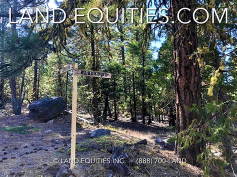 LAND EQUITIES — GORGEOUS 1.79 ACRE PROPERTY COVERED WITH TREES! LEOPARD