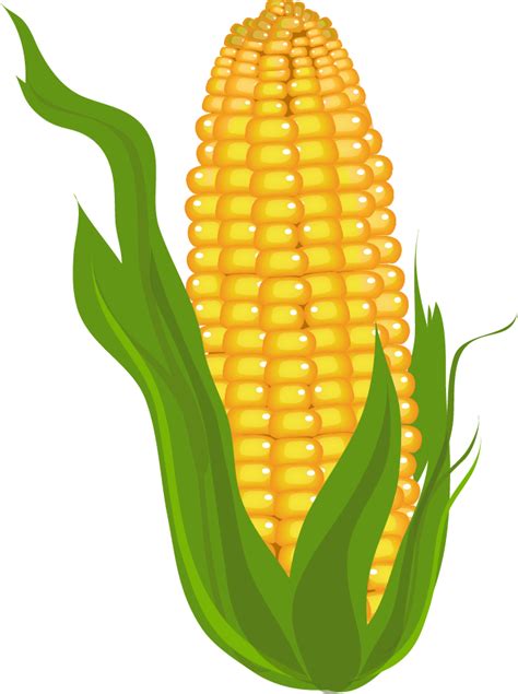 Corn Clip Art Free Free Clipart Images 2 Clipartix