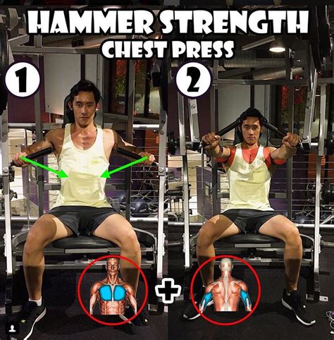 Hammer strength chest press exercise. Hammer Strength Chest Press Machine | Guide
