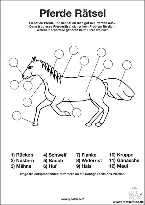 Nachdem ich seit jahren immer wieder gefragt werde, wann es meine schautafeln und infografiken denn endlich als poster geben würde, habe ich nun auch die bestimmungsbögen für blattformen, tierspuren, flugvögel überarbeitet, mit drei verschiedenen schrifttypen (schule, retro und script). Pferde Rätsel für Kinder (mit Bildern) | Kindergeburtstag ...