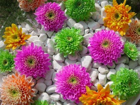 Most Beautiful Flowers Wallpapers For Desktop Wallpaper Cave