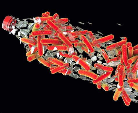 Meet The Plastic Eating Bacteria How It Works Scribd