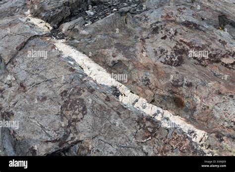 Quartz Vein In Granite Rock California Usa Stock Photo Royalty Free