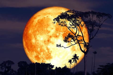 This occurs when earth is located between the sun and the moon (more exactly, when the ecliptic longitudes of the sun and moon differ by 180°). The Next Full Moon Is the Buck Moon - Here's Everything ...