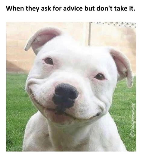 Funny Memes When People Ask For Advice But Dont Take It Funnymemes