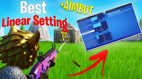 The Best Linear Setting That Gives You Aimbot Best Controller