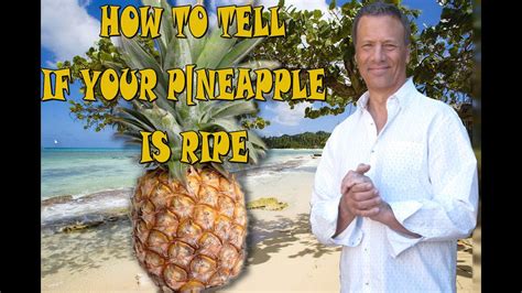How To Tell If A Pineapple Is Ripe Youtube