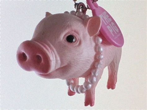 豚に真珠 散歩的日常－仲良くね