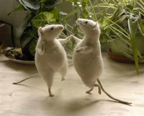 Mice Can Dance Dancing Little Animals Photo 28662996 Fanpop