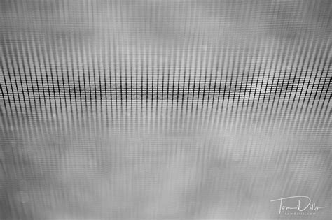 Ordinary Household Objects Window Screen Tom Dills Photography Blog