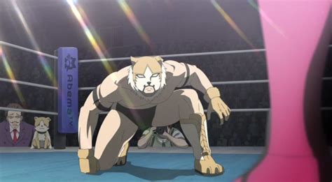 Wrestling Isekai Kemonomichi Suplexes Anime Girls Sankaku Complex