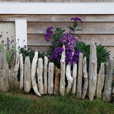 Driftwood Fence With Verbena Driftwood Landscaping Ideas Seaside